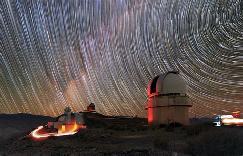  Fiskarna i Lotusdammen - En Stilla Observatör av Livets Dynamik